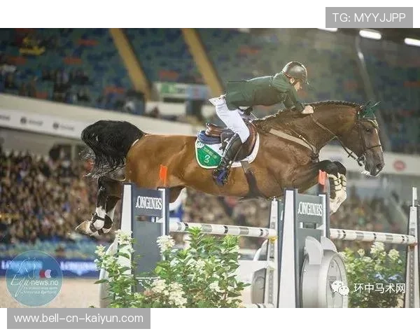 荷兰骑手 Maikel van der Vleuten 在巴黎奥运会个人障碍赛中荣获铜牌，为国家争光。